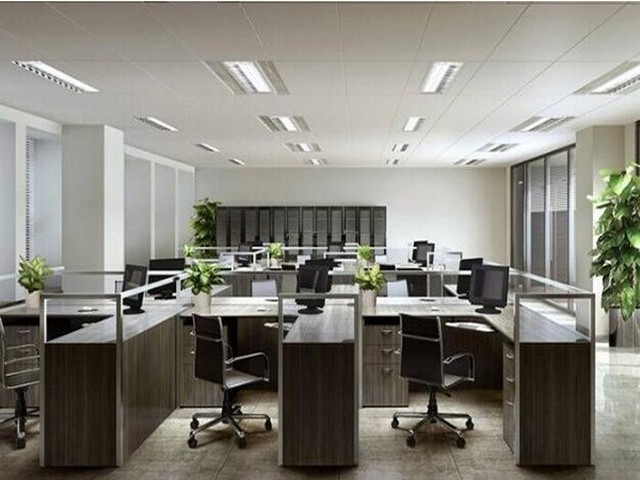 河南残疾人就业保障金在哪里申报