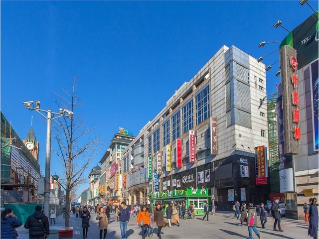 佛山石金钱龟养殖厂家推荐