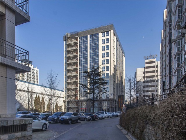 陕西鼻咽拭子唾液采集器