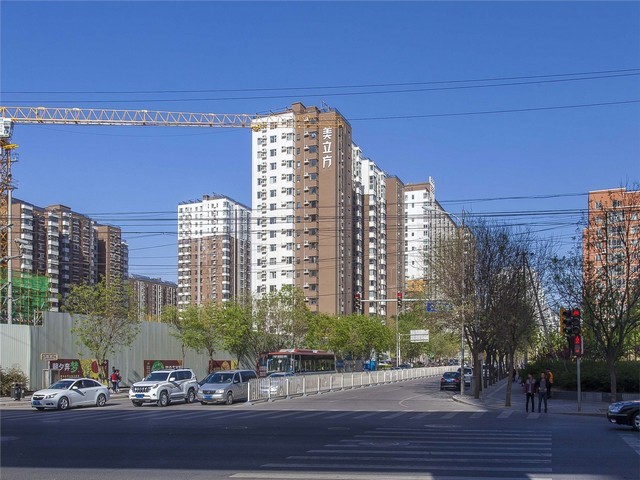 崇明商用植物租赁平台